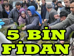 Bedava Fidanlar Kapışıldı.