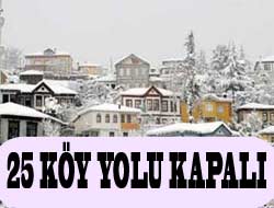 Kar Yolları Kapattı