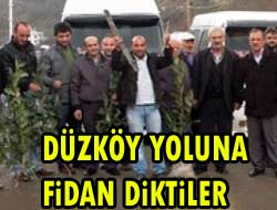 Düzköy Yoluna Fidan Diktiler