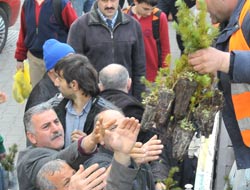 10 Bin Fidan Kapışıldı