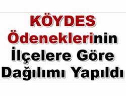 Köydes Dağılımı Yapıldı