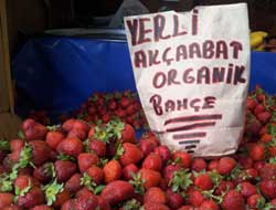 Çileğimiz Tercih Ediliyor