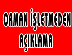 Ağaç Katliamı Var mı?