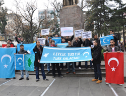 Türklere Uygulanan Katliama Protesto