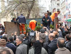Belediyeden Fidan Dağıtımı
