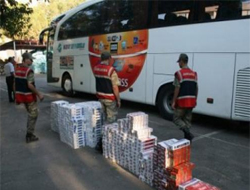 Jandarma operasyon yaptı