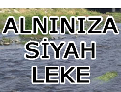 Söğütlü Deresi Ağlıyor