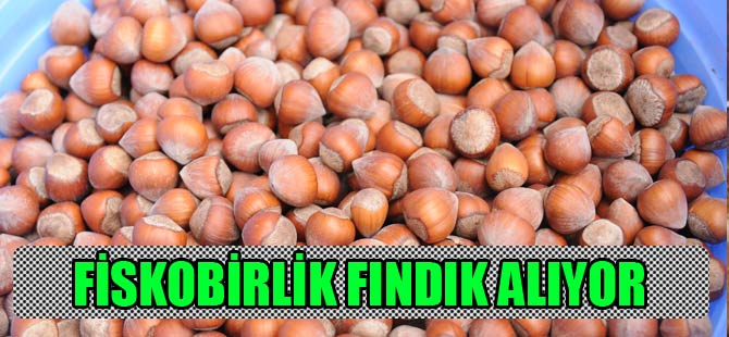 Fiskobirlik bu yıl iddialı bir şekilde piyasaya girecek