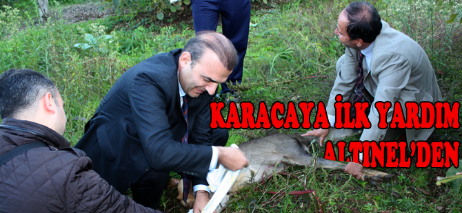 Karacaya başkan şefkati