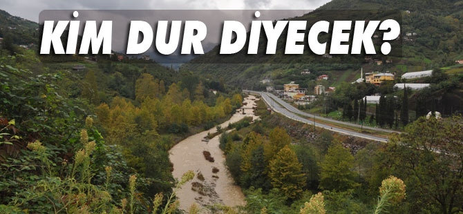 Söğütlü deresinde Çevre Katliamı Yaşanıyor.