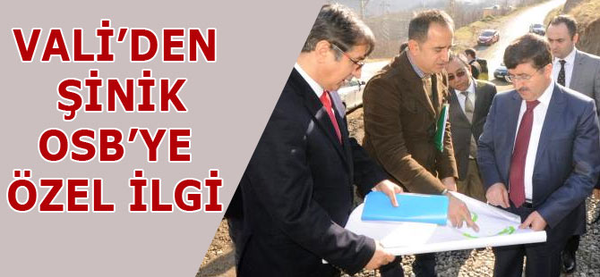 Vali Öz Şinik OSB'de İncelemelerde Bulundu