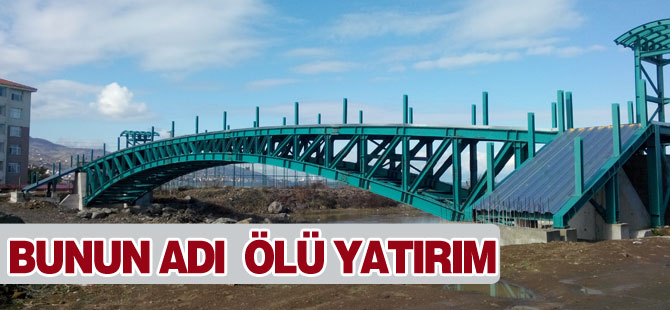 Bu Köprü Neye Hizmet Edecek?