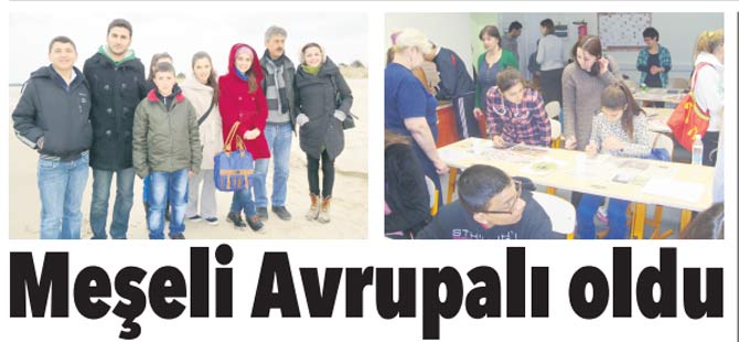 Avrupalı Meşeli