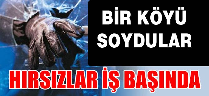 Akçaabat'ta Bir Köyü Resmen Soydular
