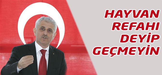 Hayvan Refahı da Ne Demeyin