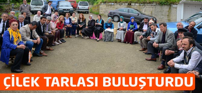 Çilek Tarlaları Buluşturdu