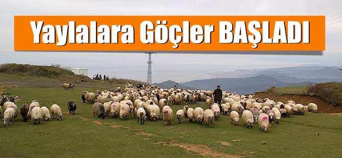 Yayla Göçleri Başladı