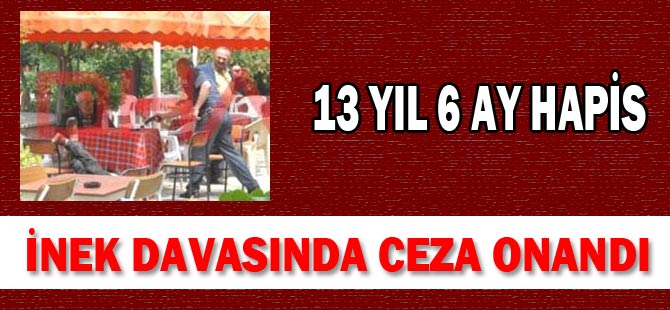 İnek Tartışması sonucu işlenen cinayette karar çıktı