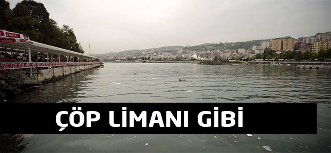 Limanın Güzelliği Kirlendi