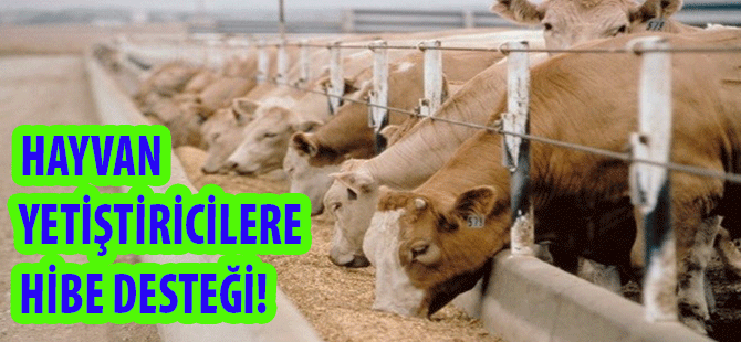 Hayvan Yetiştiricilere Hibe Desteği!