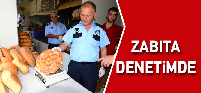 Zabıta Denetimde