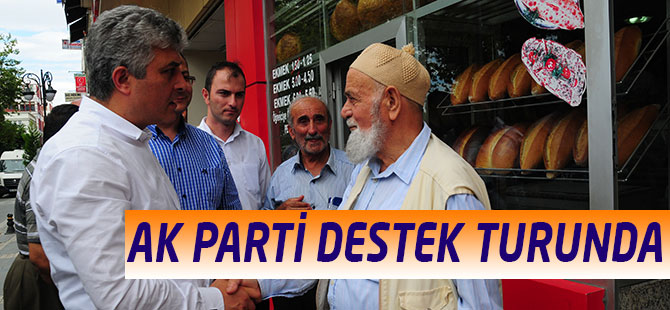 AK Parti Tam Kadro Sahada
