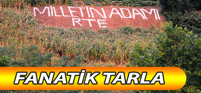 Akçaabat'ta Fanatik Tarla