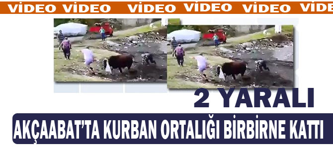 Kurban Ortalığı Birbirine Kattı 2 yaralı