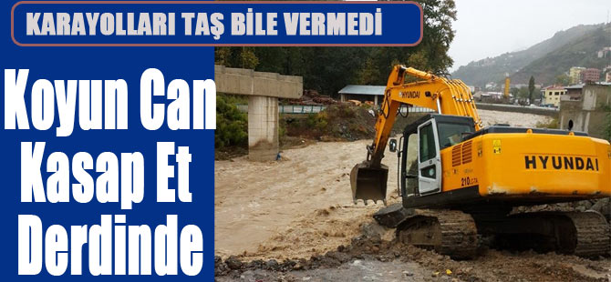 Düşündüren Taş Polemiği