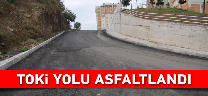 TOKİ Yolu Düzenlendi
