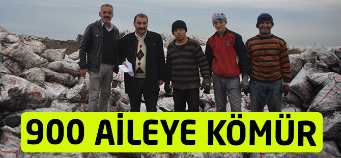 900 Aileye Kömür