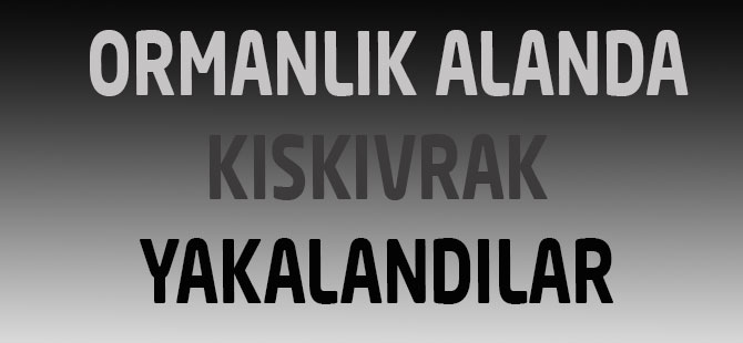 Ormanlık Alanda Kıskıvrak Yakalandılar