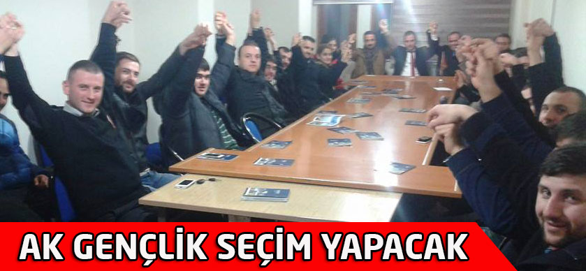 AK Gençlik Seçim Yapacak