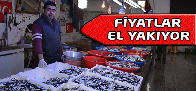 Balık Fiyatları El Yakıyor