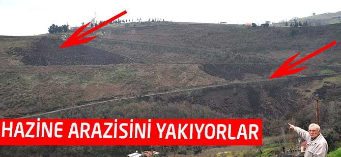 Ciğerimizi Yakıyorlar