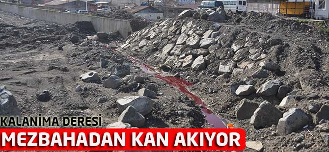 Mezbahadan Kan Akıyor