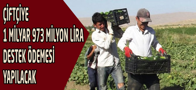 Çiftçiye 1 milyar 973 milyon lira karşılıksız destek ödemesi yapılacak