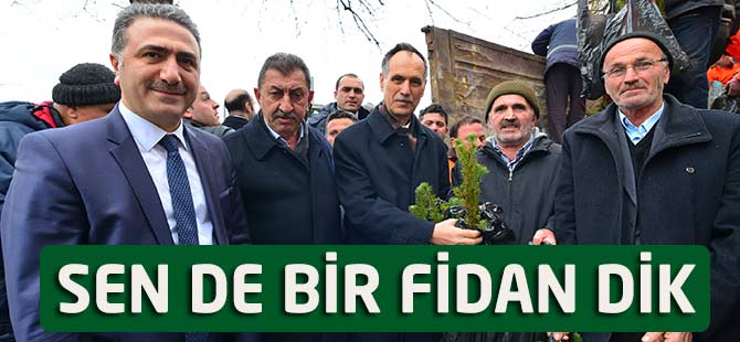 Sende Bir Fidan Dik