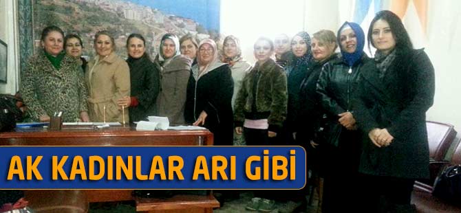 Ak Kadınlar Arı Gibi
