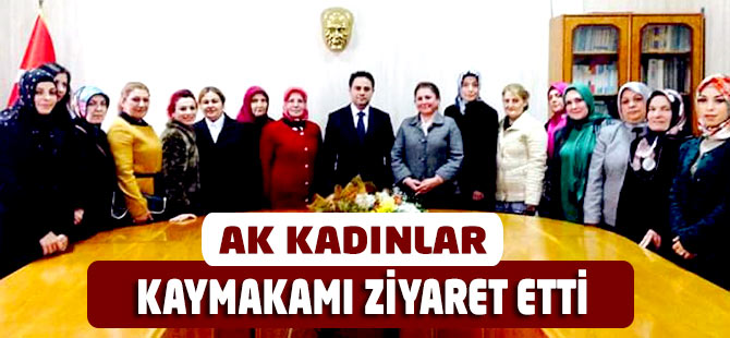 AK Kadınlar Kaymakamı Ziyaret Etti