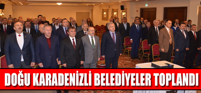 Doğu Karadenizli Belediyeler Toplandı