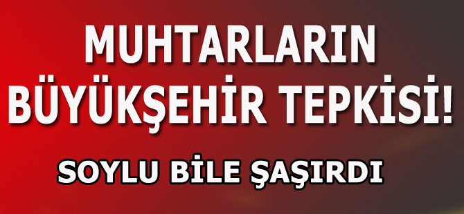 Soylu'ya Büyükşehir Tepkisi