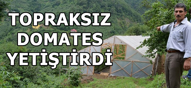 Topraksız Domates Yetiştirdi
