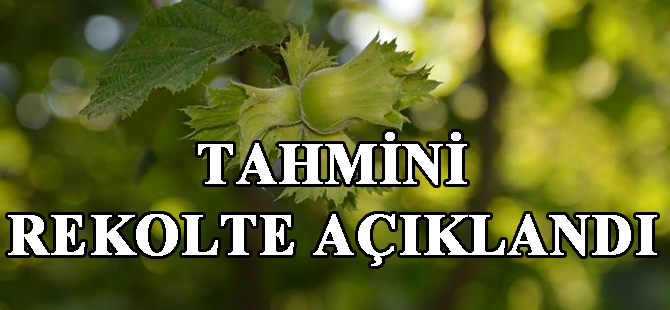 Tahmini Rekolte Açıklandı