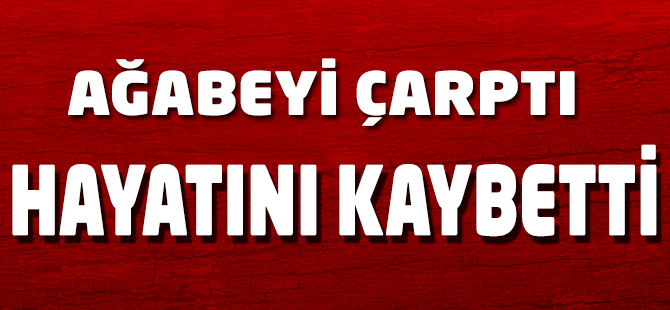Ağabeyinin kullandığı otomobilin çarptığı kişi öldü