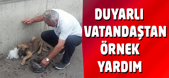 Duyarlı Vatandaştan Örnek Yardım