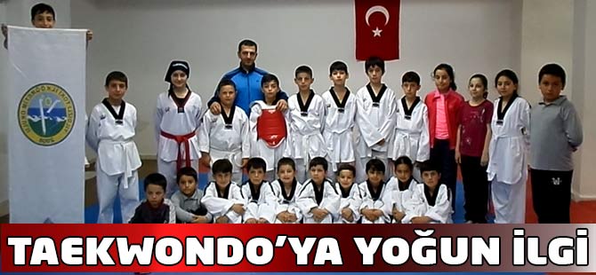 Taekwondo Kursuna yoğun ilgi