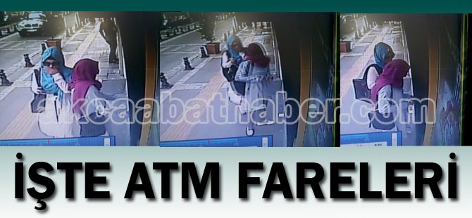 İşte ATM Fareleri