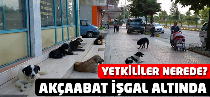 Akçaabat İşgal Altında