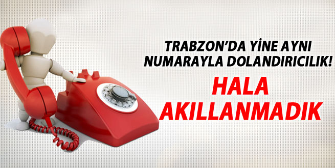 Tüm Uyarılara Rağmen